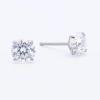 restikke i forgyldt titanium 5mm m/cz - Vejl. 249,-
