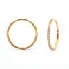 Hoops i forgyldt titanium med Cz 12mm - Vejl. 299,-