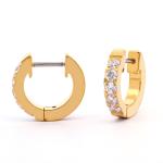 Hoops i forgyldt titanium med Cz 10mm - Vejl. 399,-