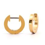 Hoops i forgyldt titanium 10mm - Vejl. 249,-