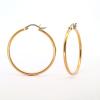 Hoops i forgyldt titanium 2x35mm - Vejl. 275,-